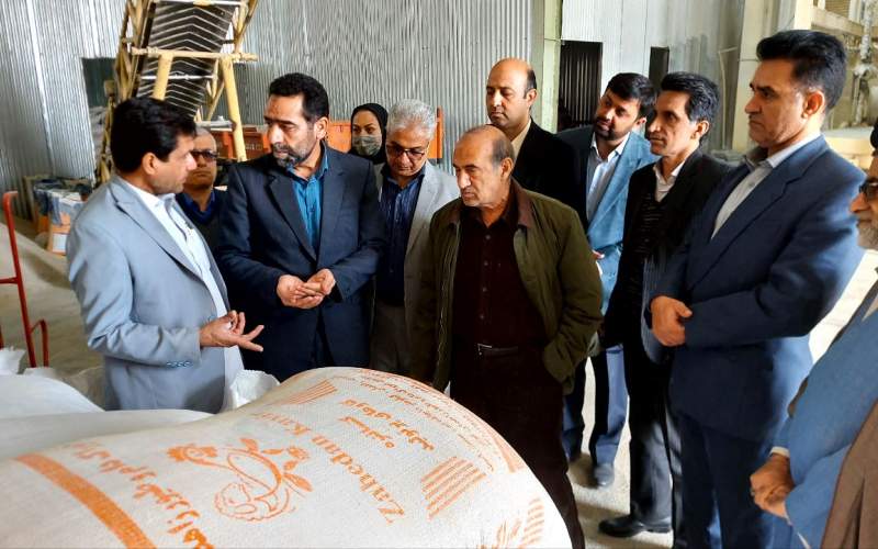 ۳۸۷ هزار تن نهاده دامی در سیستان و بلوچستان توزیع شد