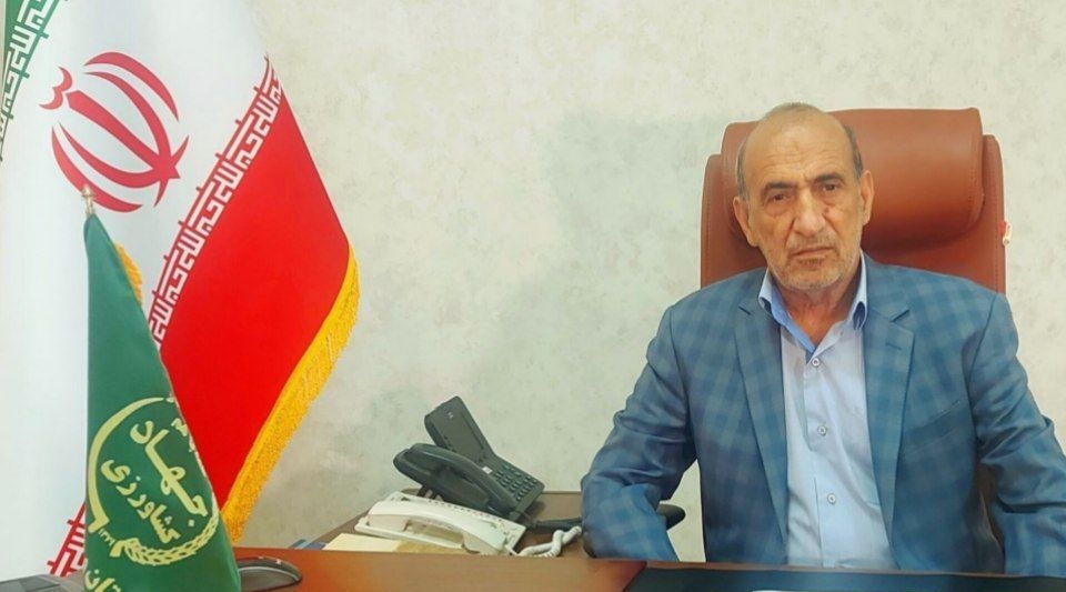 تلاش مضاعف برای دستیابی به تولید ۱۰۰ هزارتن گوشت مرغ در سیستان وبلوچستان
