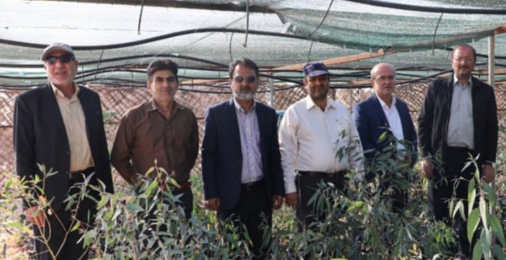 ظرفیت‌های پژوهشگاه زابل، طرح‌های مقابله با بیابان‌زایی را تسریع می‌کند