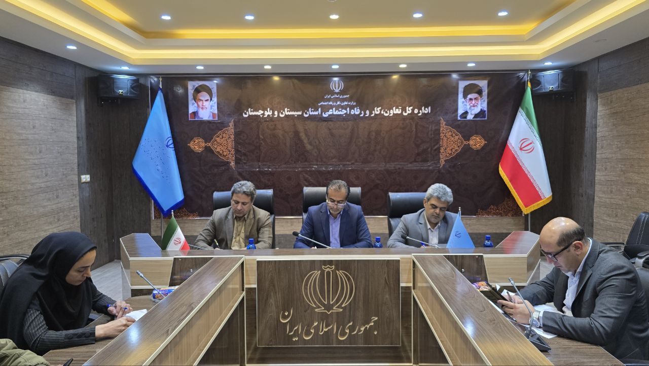 نقص زنجیره ارزش، عامل خام‌فروشی گیاهان دارویی در سیستان و بلوچستان