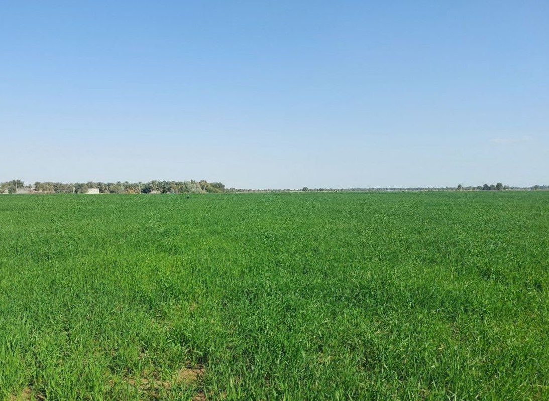 مدیریت هوشمند الگوی کشت در دلگان