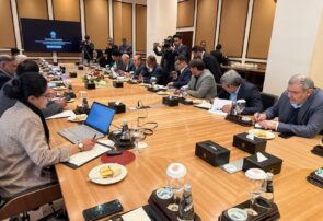 توسعه همکاریهای کشاورزی ایران و پاکستان